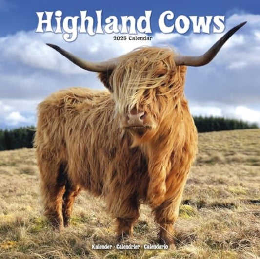 Highland Cows Calendar 2025  Square Animal Wall Calendar - 16 Month-9781804604298