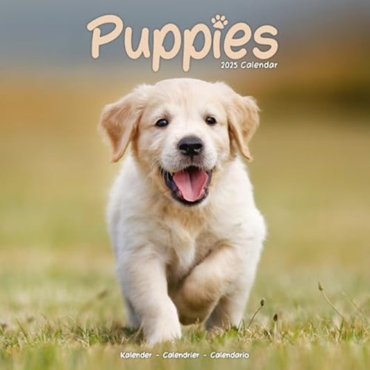 Puppies Calendar 2025  Square Animal Wall Calendar - 16 Month-9781804604472