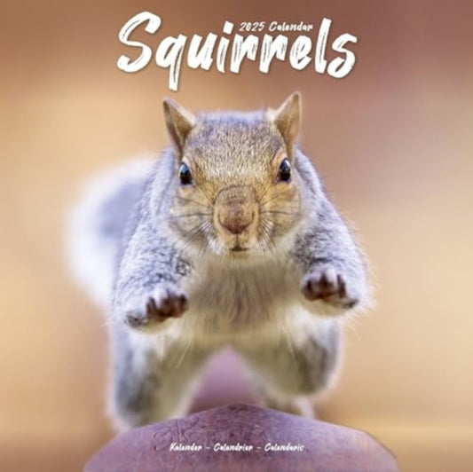 Squirrels Calendar 2025  Square Animal Wall Calendar - 16 Month-9781804604526
