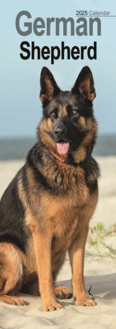 German Shepherd Slim Calendar 2025-9781804605073