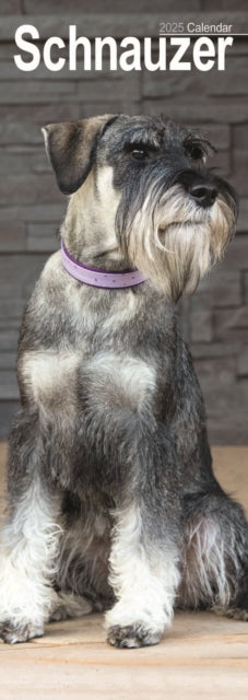 Schnauzer Slim Calendar 2025-9781804605165