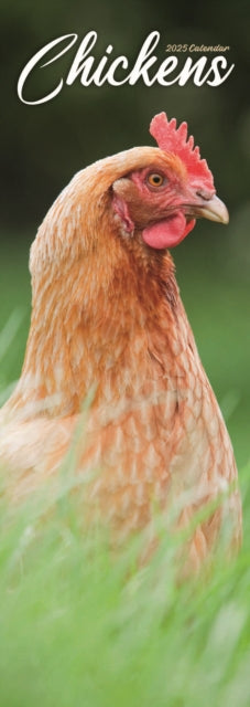 Chickens Slim Calendar 2025-9781804605233