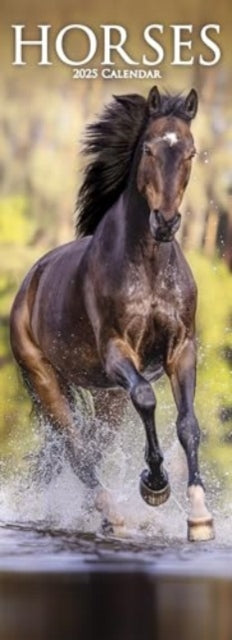 Horses Slim Calendar 2025  Horses Slimline Calendar - 12 Month-9781804605264