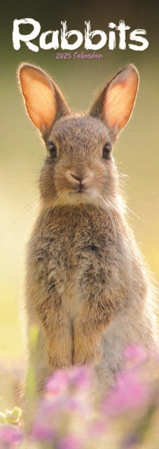 Rabbits Slim Calendar 2025-9781804605301