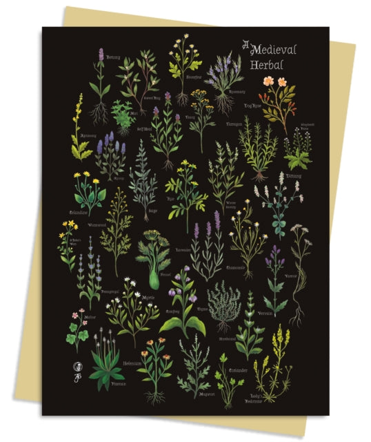 Anna Stead: A Medieval Herbal Greeting Card Pack : Pack of 6-9781835621950