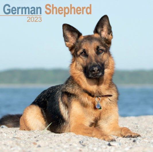German Shepherd 2023 Wall Calendar-9781839417108