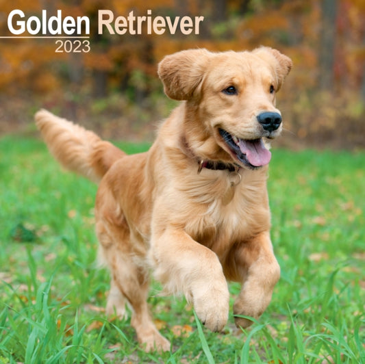 Golden Retriever 2023 Wall Calendar-9781839417122