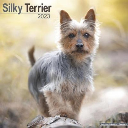 Silky Terrier 2023 Wall Calendar-9781839417597