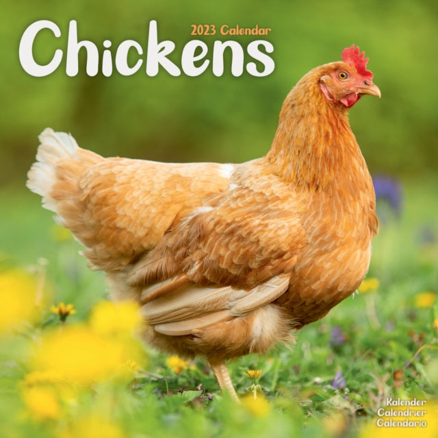 Chickens 2023 Wall Calendar-9781839417979