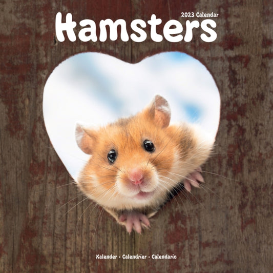 Hamsters 2023 Wall Calendar-9781839418068