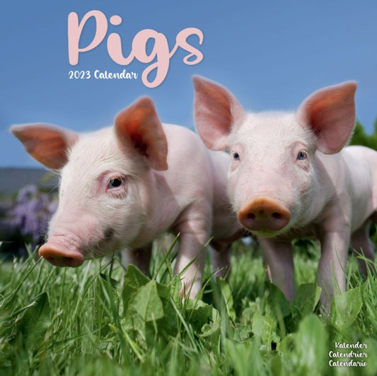 Pigs 2023 Wall Calendar-9781839418150
