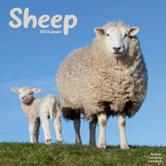Sheep 2023 Wall Calendar-9781839418181