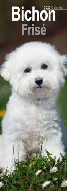 Bichon Frise 2023 Slim Calendar-9781839418730
