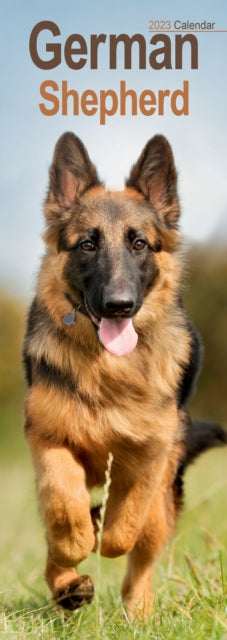 German Shepherd 2023 Slim Calendar-9781839418839