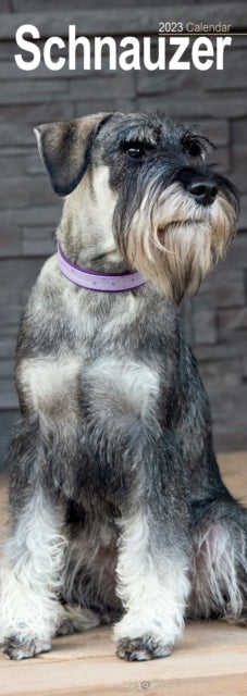 Schnauzer Slim Calendar 2023-9781839418921