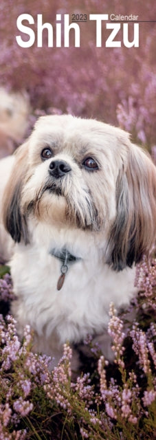 Shih Tzu 2023 Slim Calendar-9781839418938