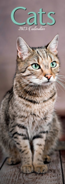 Cats 2023 Slim Calendar-9781839418976