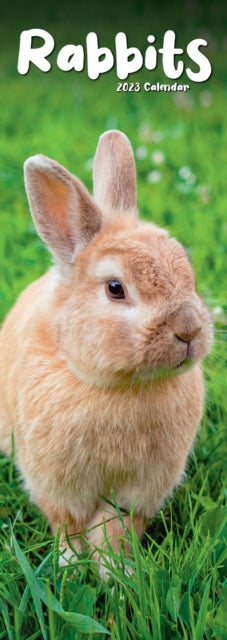 Rabbits 2023 Slim Calendar-9781839419058