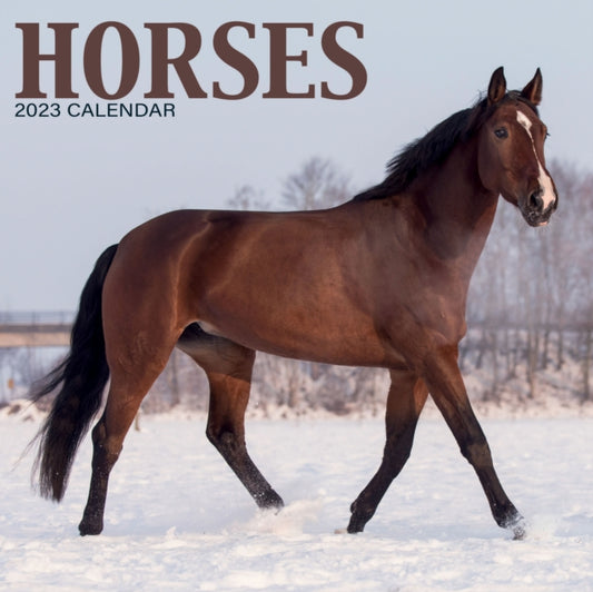Horses Mini Square Wall Calendar 2023-9781839419164