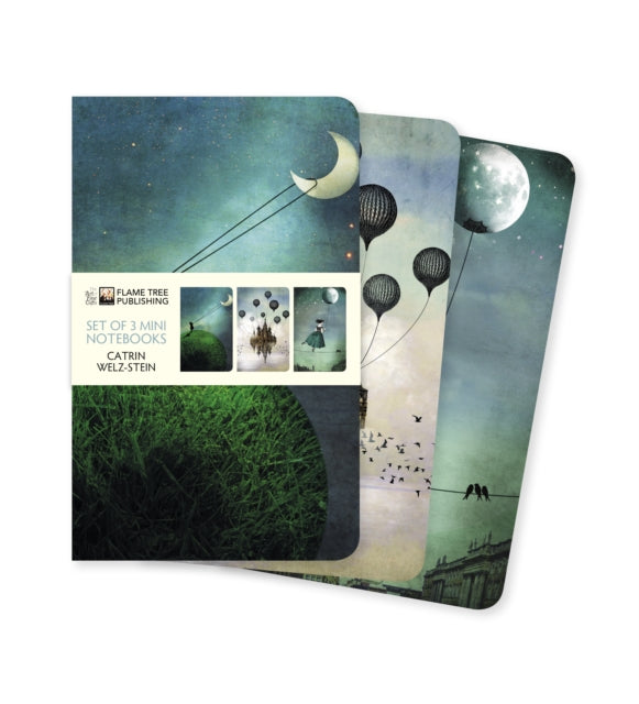 Catrin Welz-Stein Set of 3 Mini Notebooks-9781839647215