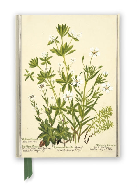 RBGE: Charlotte Cowan Pearson: Stitchworts, Woodruff and Pepperwort (Foiled Journal)-9781839648960