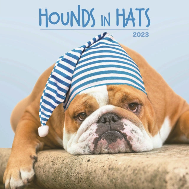 Hounds in Hats Square Wall Calendar 2023-9781848868687