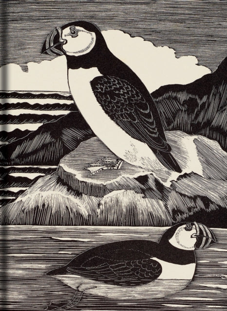 Birds Journal-9781851245680