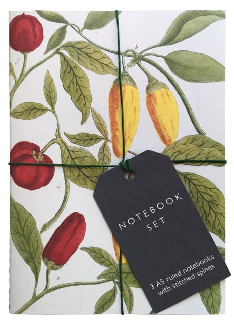 Botanical Art Notebook Set : 3 A5 ruled notebooks with stitched spines-9781851245697