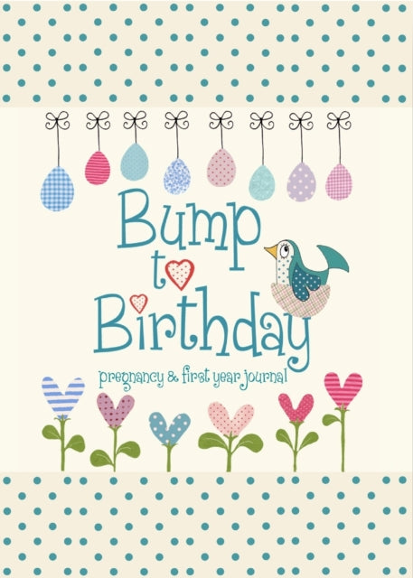 Bump to Birthday, Pregnancy & First Year Journal-9781907048418