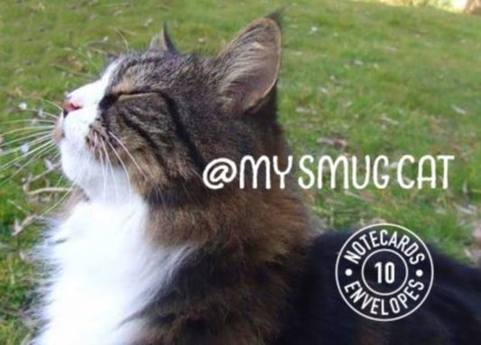 My Smug Cat Notecards-9781909823860
