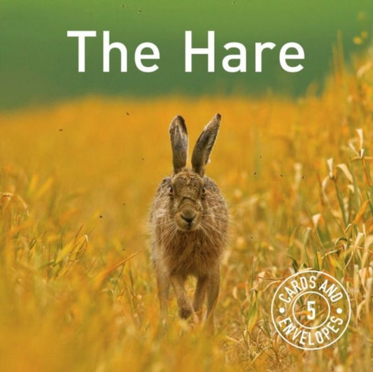Hare Notepack, The-9781910862872