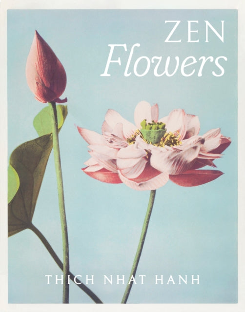 Thich Nhat Hanh Zen Flowers Boxed Notecards-9781952692109