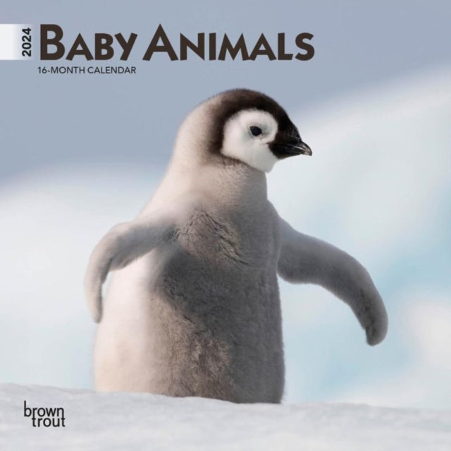 BABY ANIMALS 2024 MINI 7X7-9781975457754