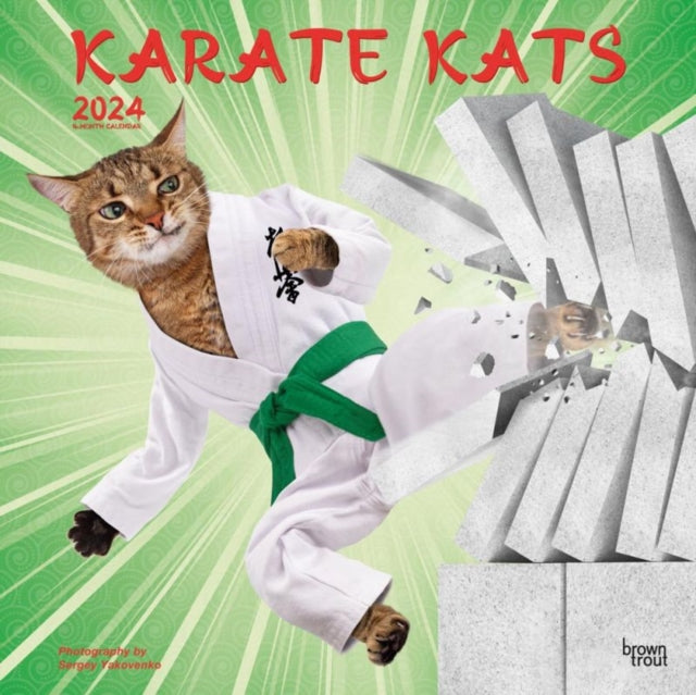 KARATE KATS 2024 SQUARE-9781975466954